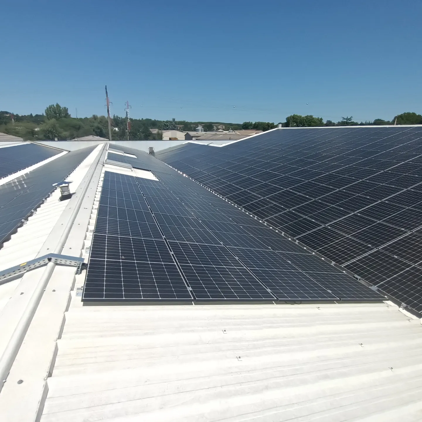 IMG20230727150721(1)