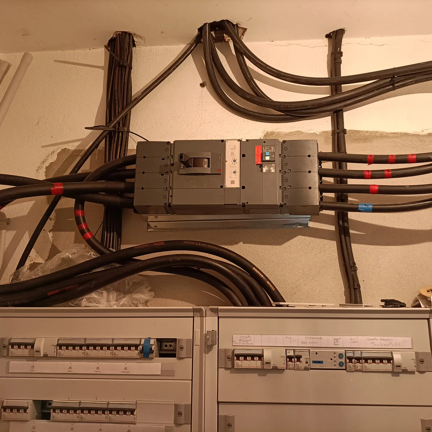 IMG20230728085051(1)