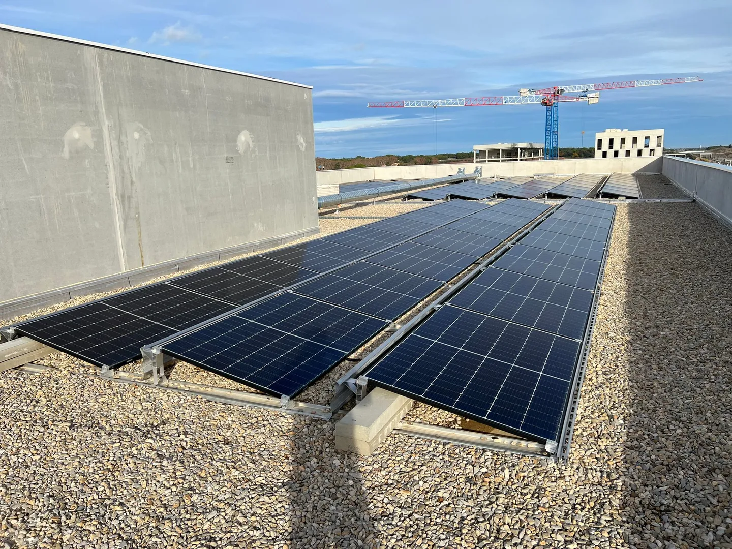 IMG-20231213-WA0008(1)