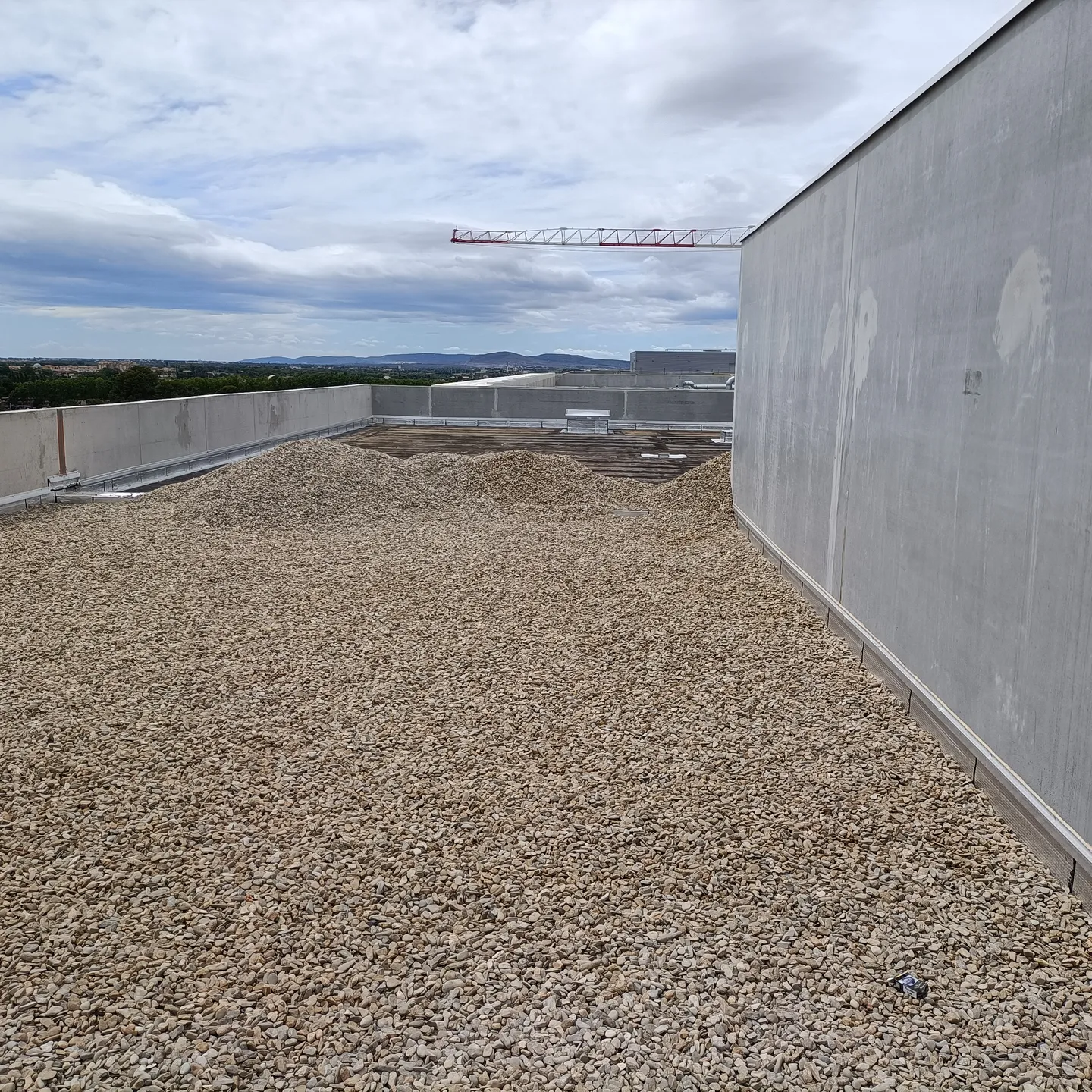 IMG20230801135352(1)