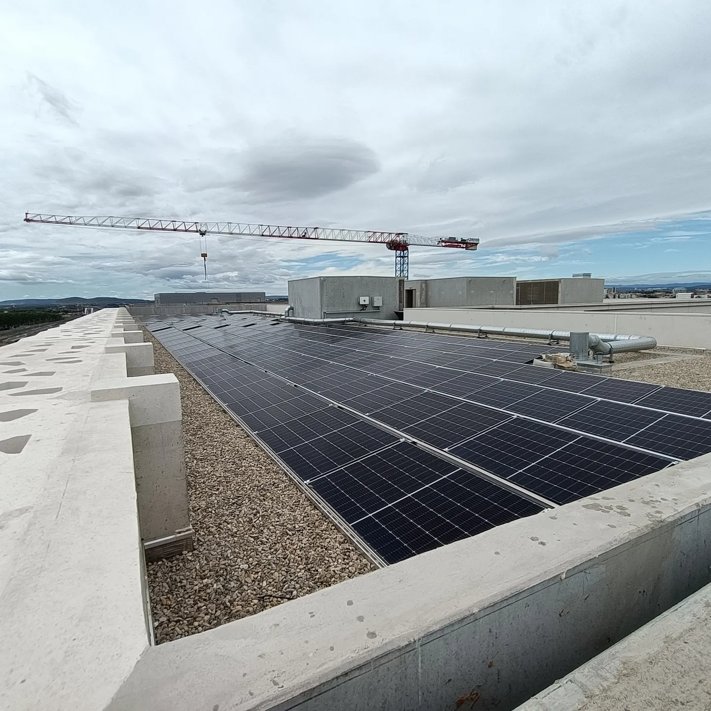 IMG20230801140850(1)