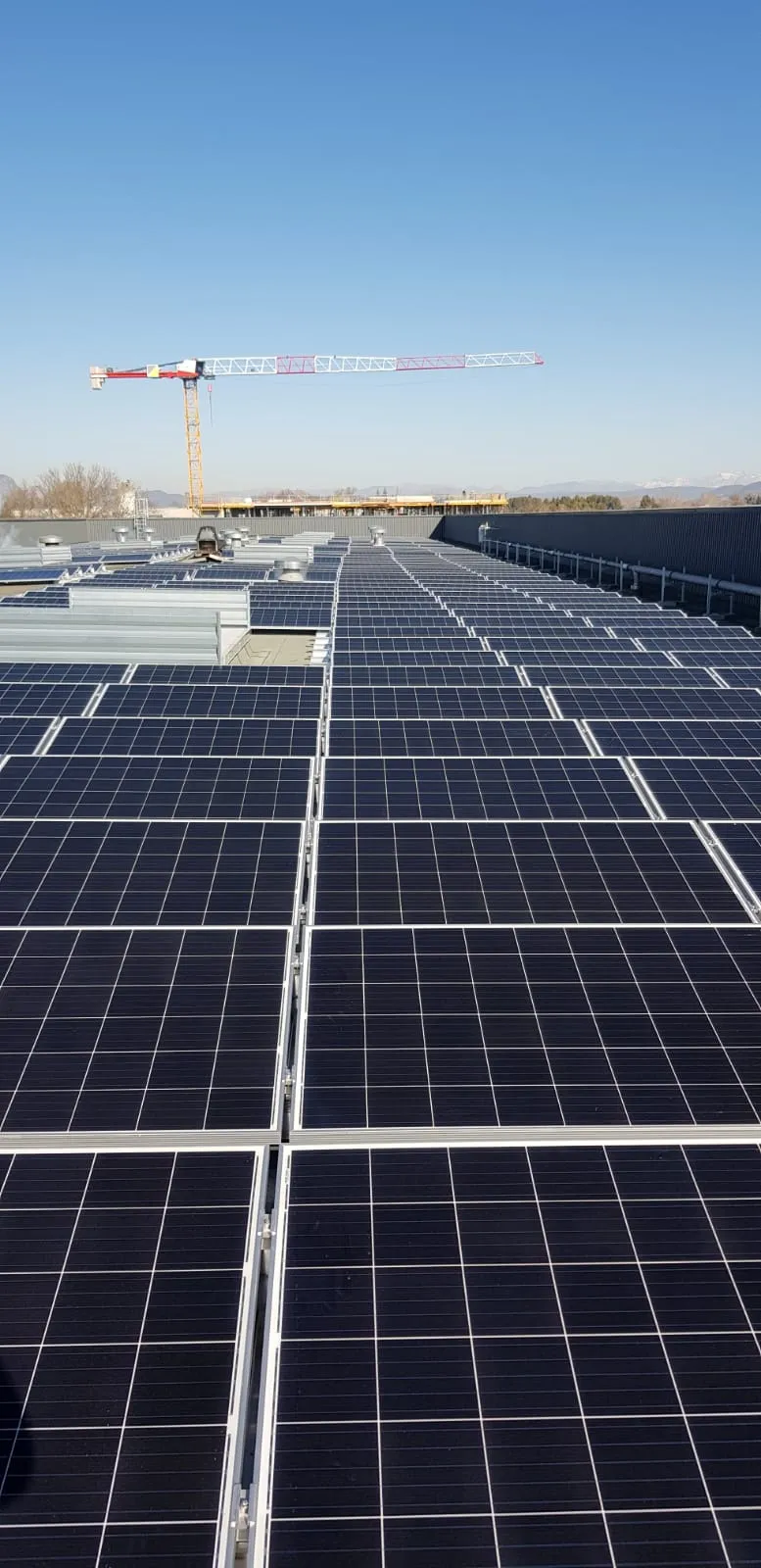 WhatsApp Image 2022-02-18 at 15.36.00