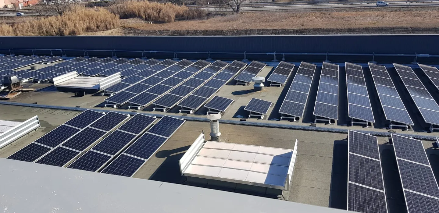 WhatsApp Image 2022-02-18 at 15.36.003