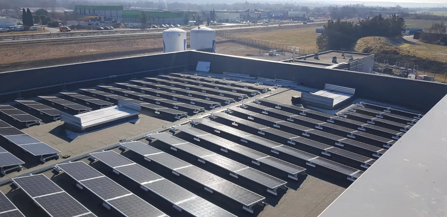 WhatsApp Image 2022-02-18 at 15.36.011