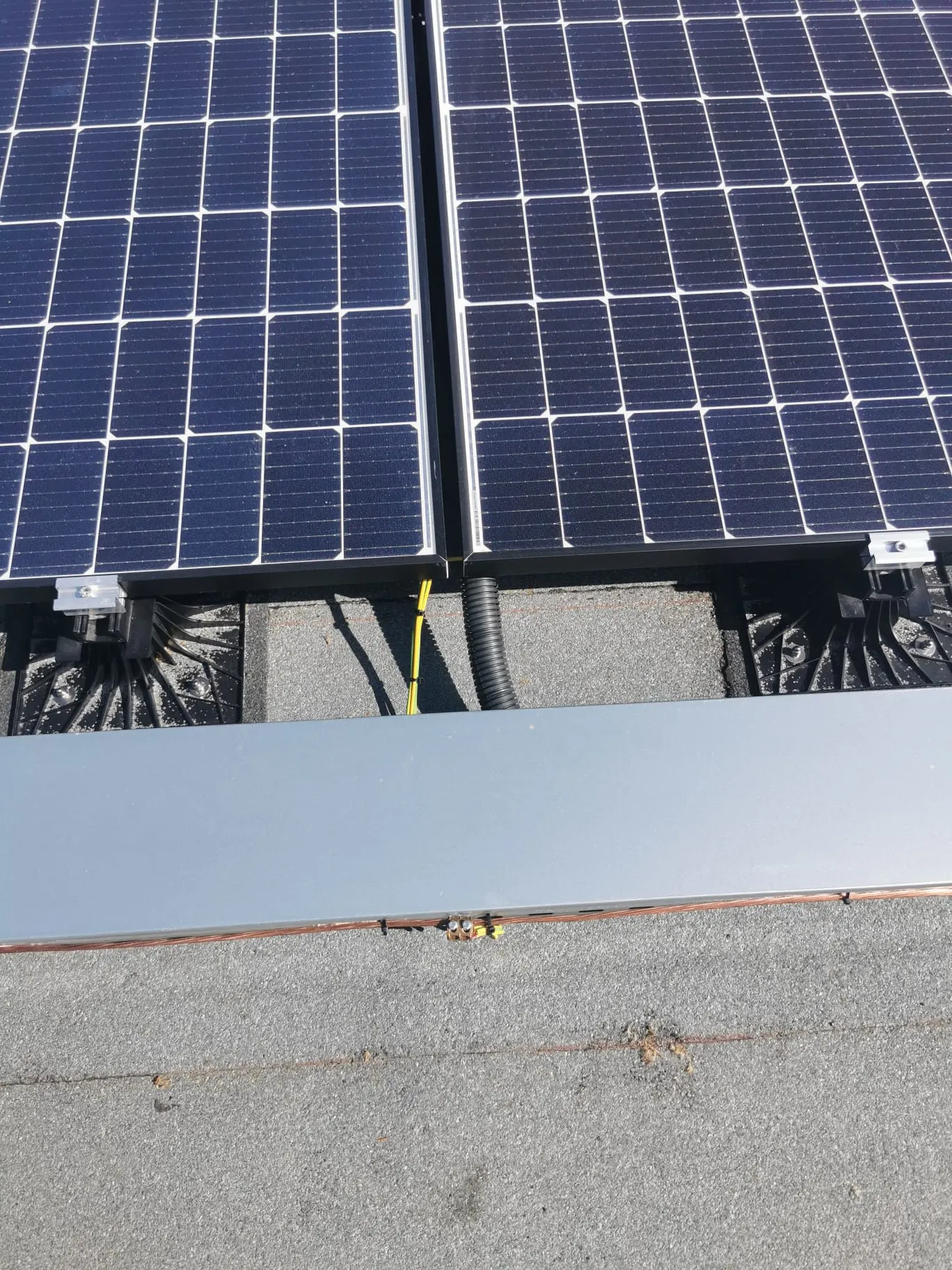 WhatsApp Image 2022-05-18 at 14.34.31