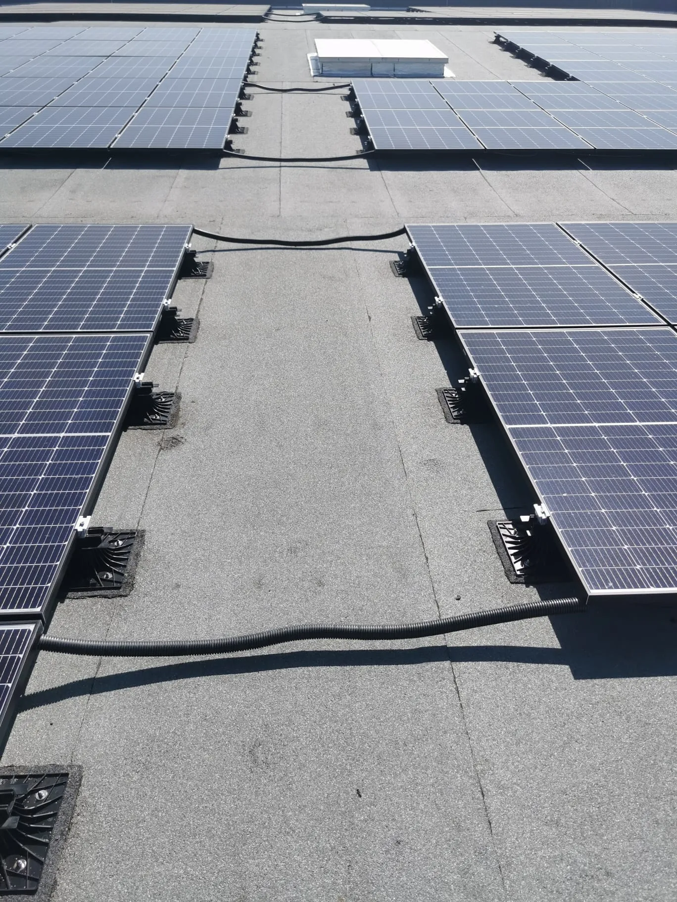 WhatsApp Image 2022-05-18 at 14.34.322