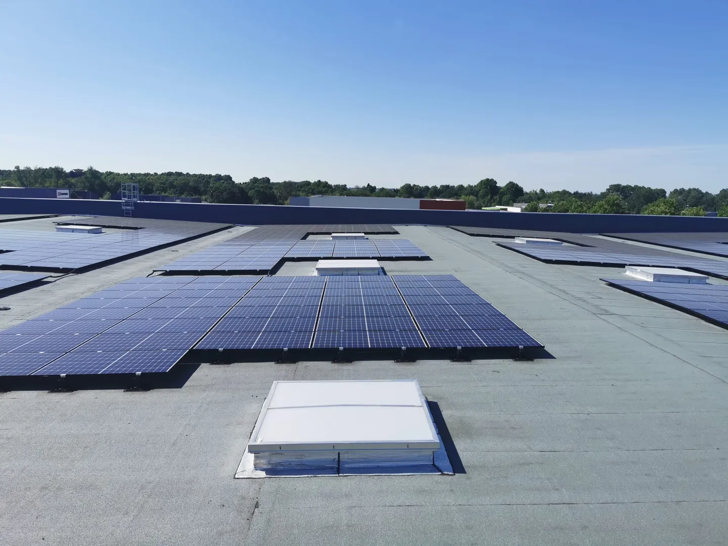 WhatsApp Image 2022-05-18 at 14.34.34