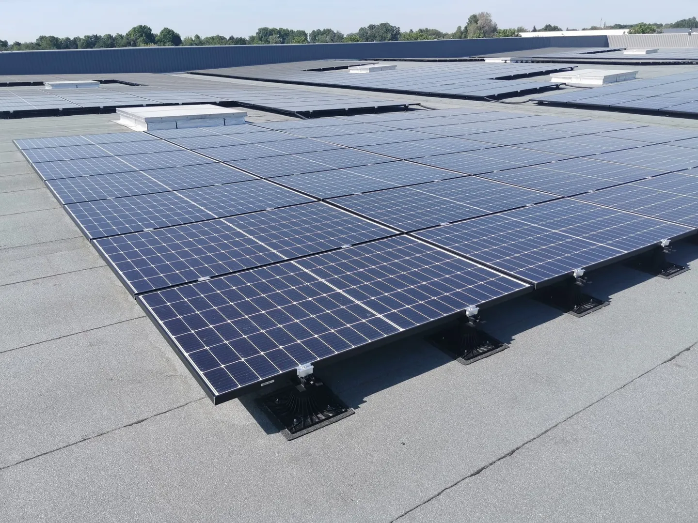 WhatsApp Image 2022-05-18 at 14.34.341