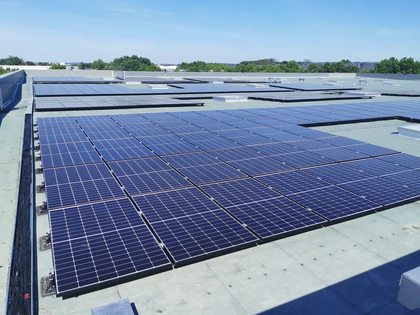 WhatsApp Image 2022-05-18 at 14.34.342