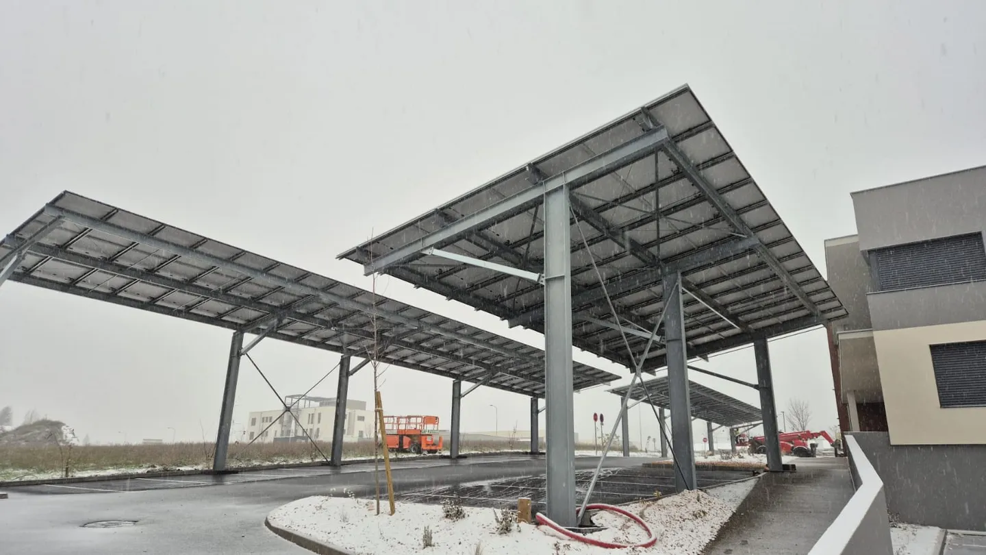 WhatsApp Image 2024-11-21 at 14.07.54