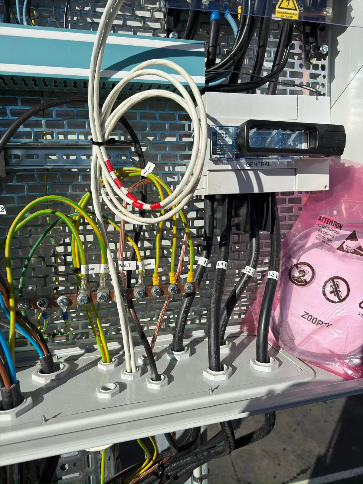 WhatsApp Image 2024-12-05 at 09.00.35