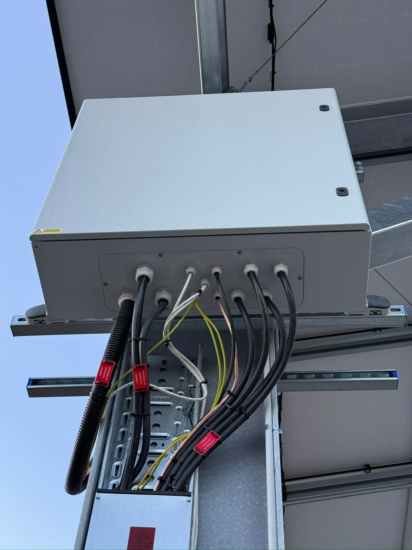 WhatsApp Image 2024-12-05 at 09.00.41