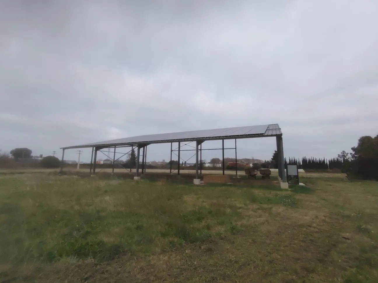 WhatsApp Image 2024-12-19 at 07.49.39 (1)