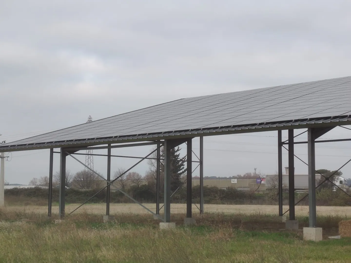 WhatsApp Image 2024-12-19 at 07.49.39